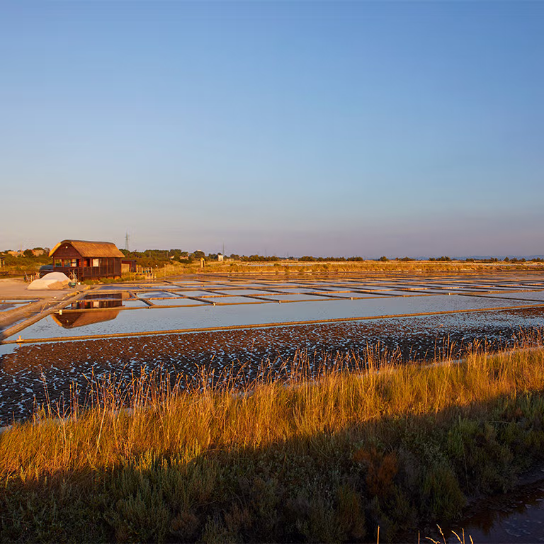 Cervia: il sale che ha cambiato la storia